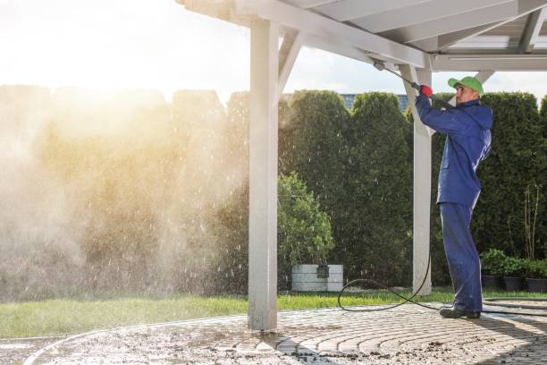 Best Soft Washing  in Silver Lake, FL